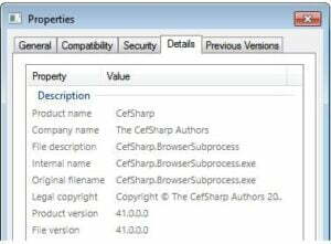 1 19 300x221 1 - What Is CefSharp.BrowserSubprocess.exe and How to Solve Problems