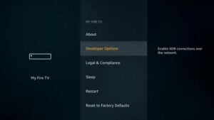 firestick developer options 300x169 1 - How to Install Terrarium TV on Firestick &amp; Fire TV (100% Working 2021)