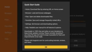 firestick disclaimer ok 300x169 1 - How to Install Terrarium TV on Firestick &amp; Fire TV (100% Working 2021)