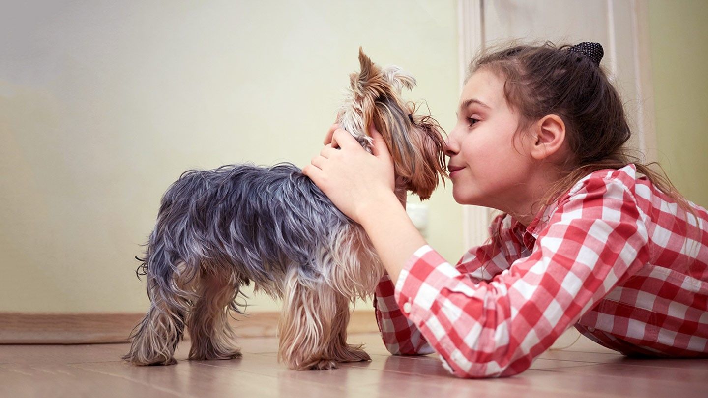 7 Helpful Tips for Dealing with Your Dogs Allergies 86107 1 - 7 Helpful Tips for Dealing with Your Dog’s Allergies
