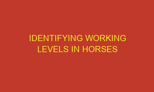 identifying working levels in horses 85812 - Identifying working levels in horses