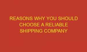 reasons why you should choose a reliable shipping company 85808 1 300x180 - Reasons Why You Should Choose a Reliable Shipping Company
